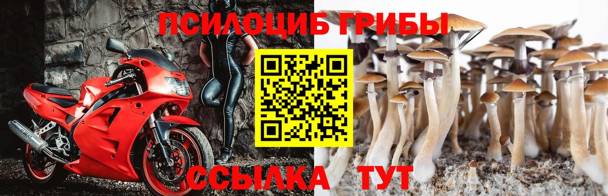 Псилоцибиновые грибы мухоморы Ирбит