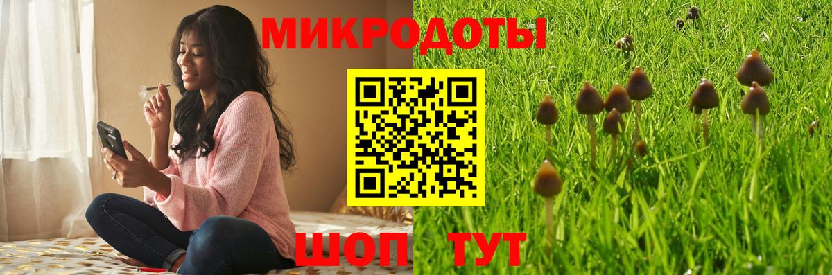Ирбит  Галлюциногенные грибы Cubensis  Вход с VPN 